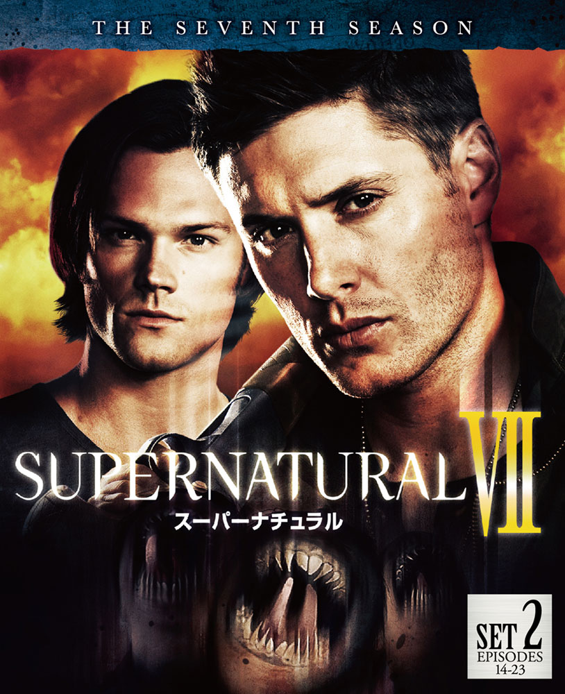 【2025】お歳暮・冬ギフト VI SUPERNATURAL I<セブンス・シーズン> ワーナー・ブラザース | 洋画・外国映画